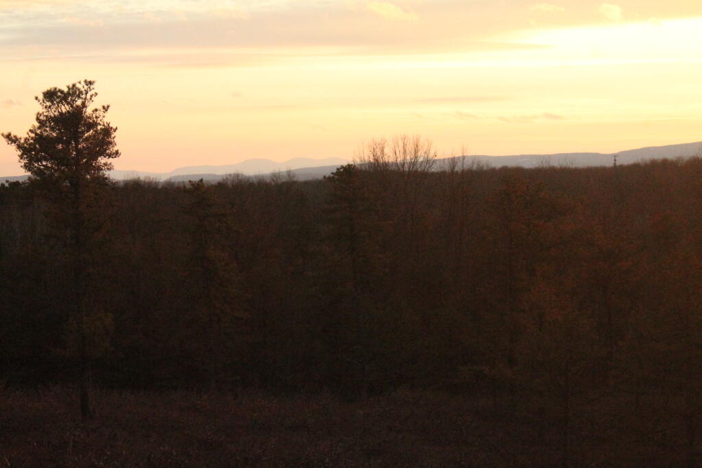 Photo: Untitled Photo: Untitled