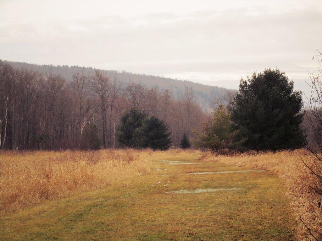 Photo: Always Muddy Photo: Always Muddy