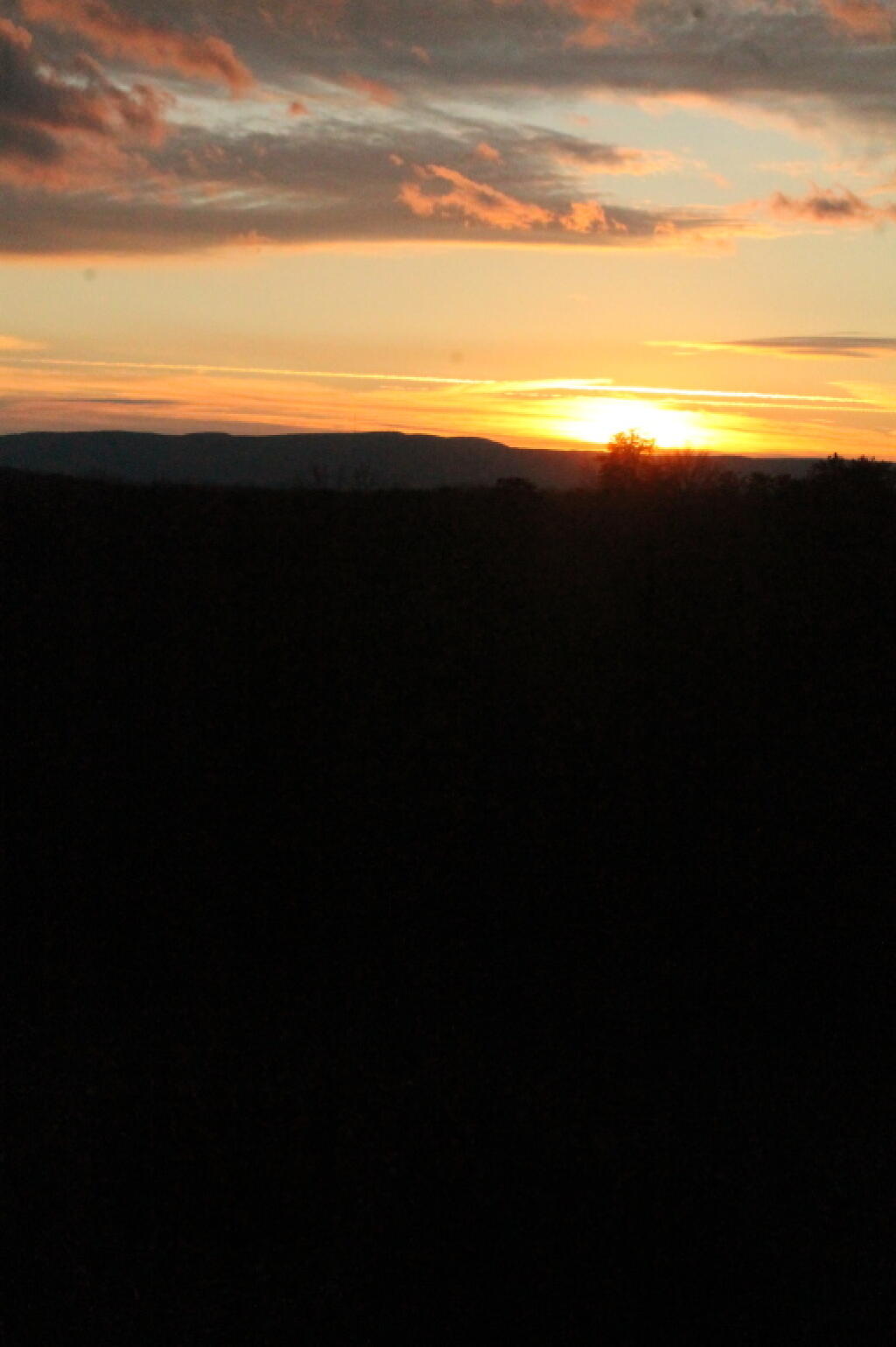 Photo: Untitled Photo: Untitled