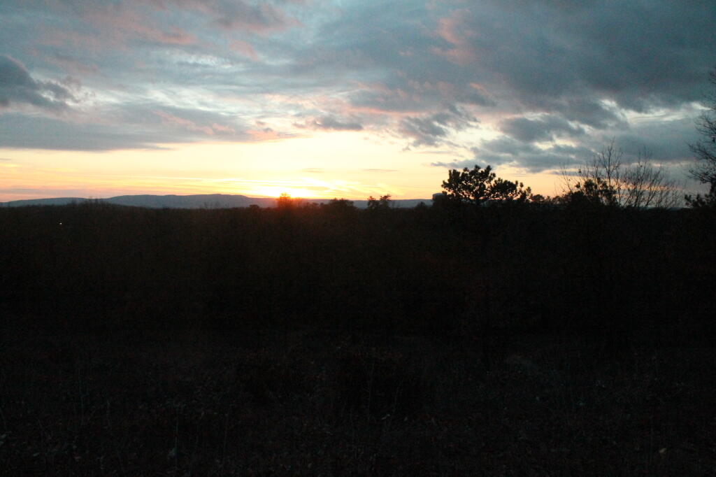 Photo: Untitled Photo: Untitled
