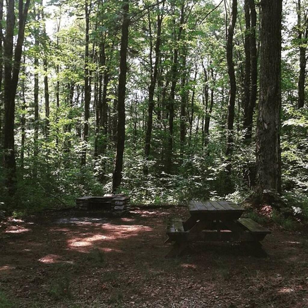 Photo: Campsite 38 is now available Photo: Campsite 38 is now available