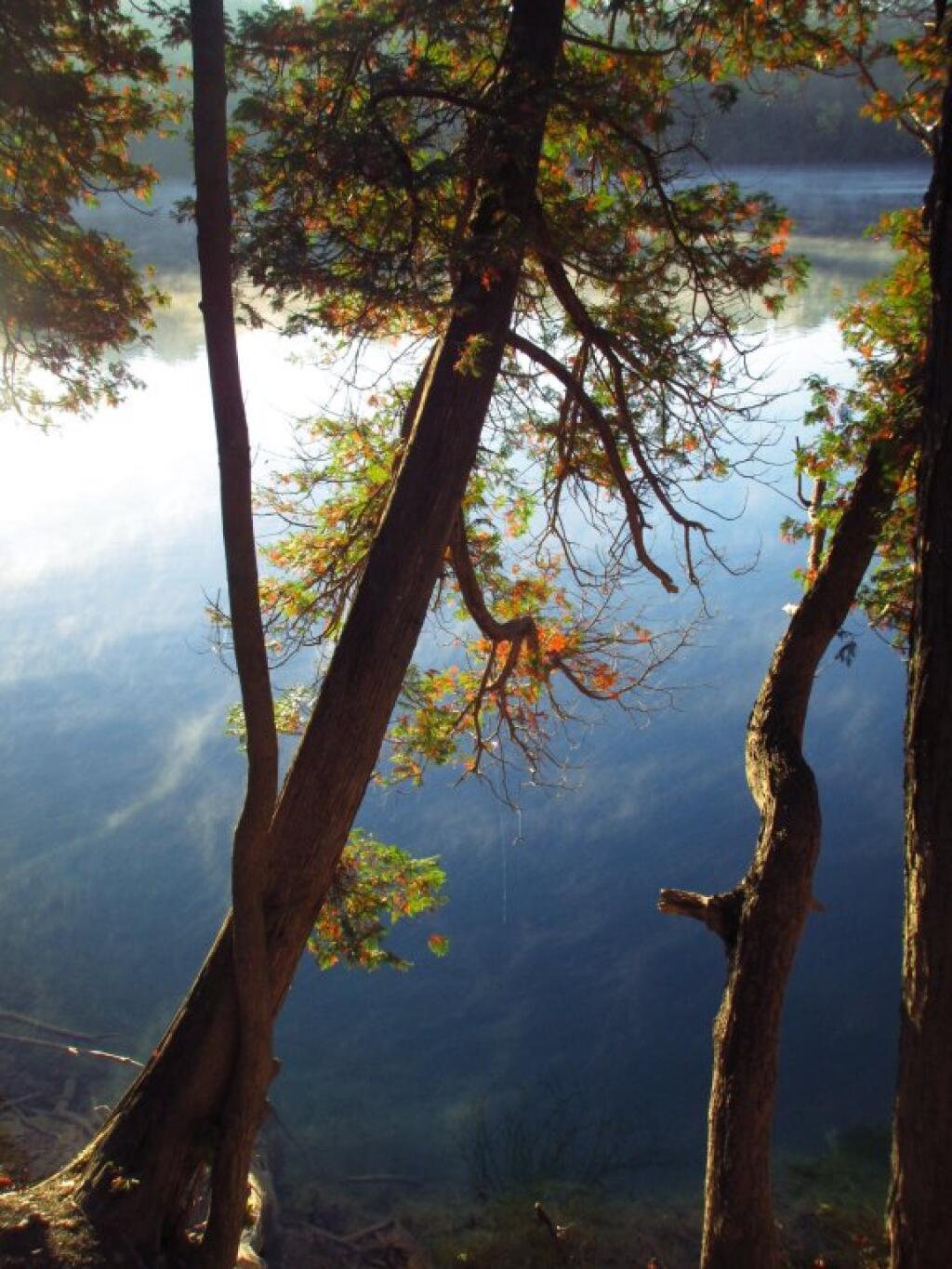 Photo: Morning Photo: Morning