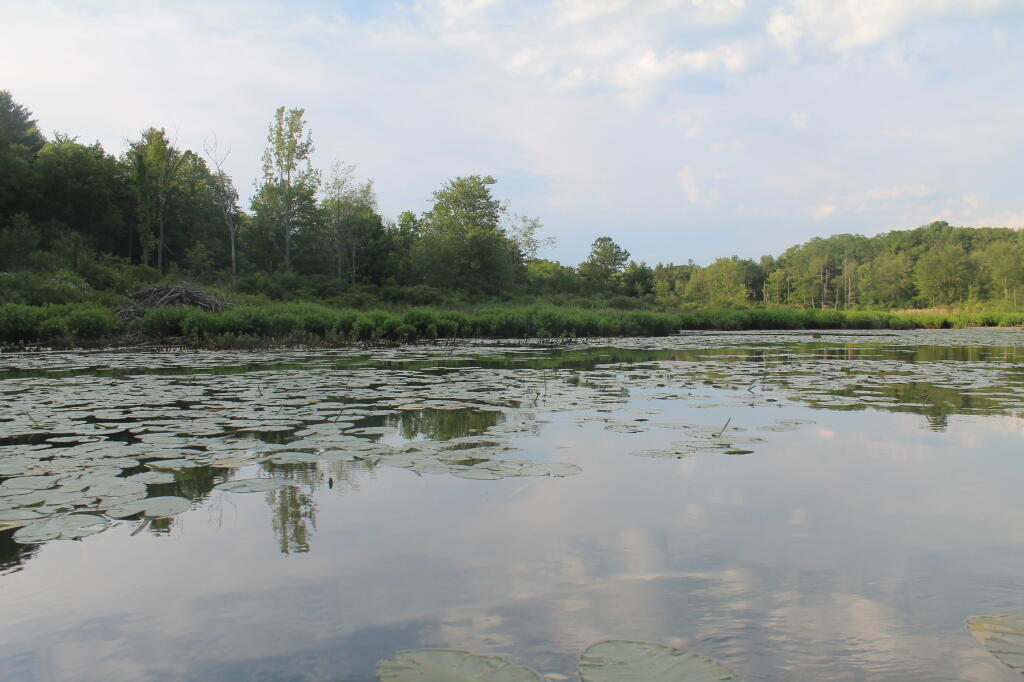 Photo: Untitled Photo: Untitled