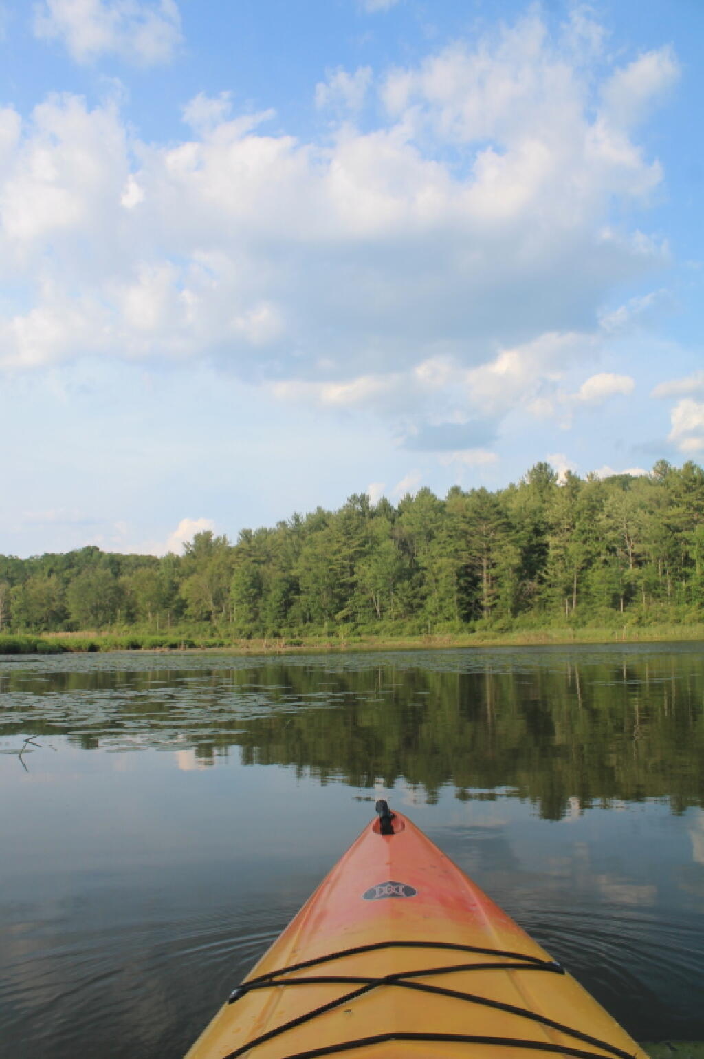 Photo: Untitled Photo: Untitled