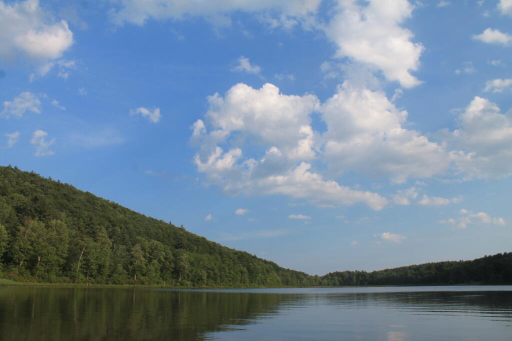 Photo: Summer's Day on Lawson Lake Photo: Summer's Day on Lawson Lake
