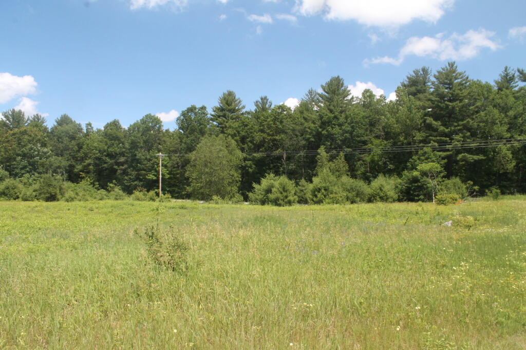 Photo: Open Field Photo: Open Field