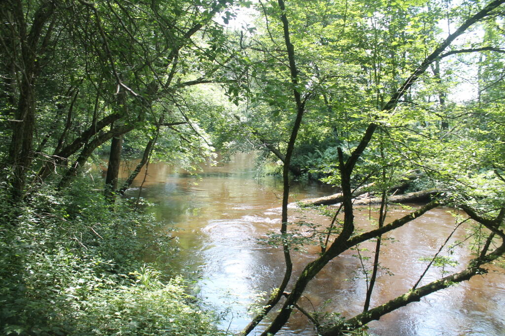 Photo: Wood Creek Photo: Wood Creek