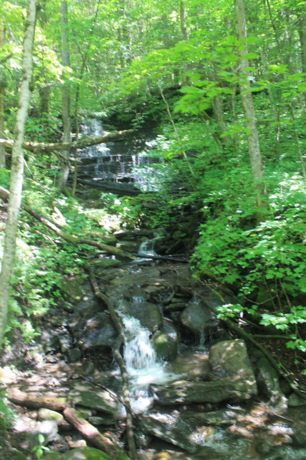 Photo: Another Small Falls Photo: Another Small Falls