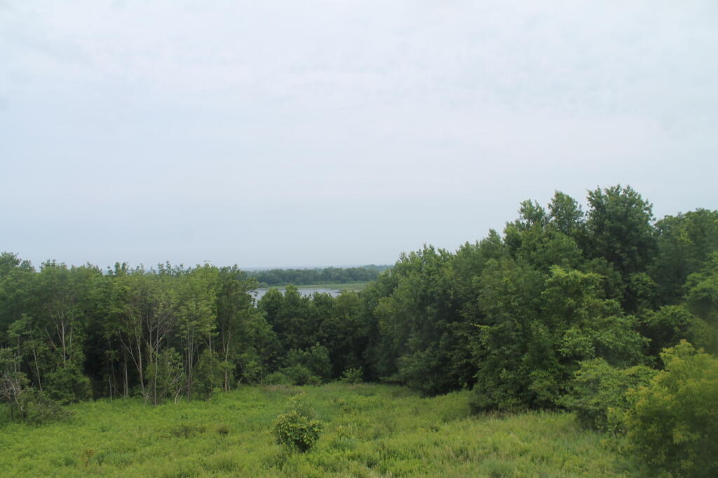 Photo: South Caldwell Pond from Wildlife Observation Tower Photo: South Caldwell Pond from Wildlife Observation Tower