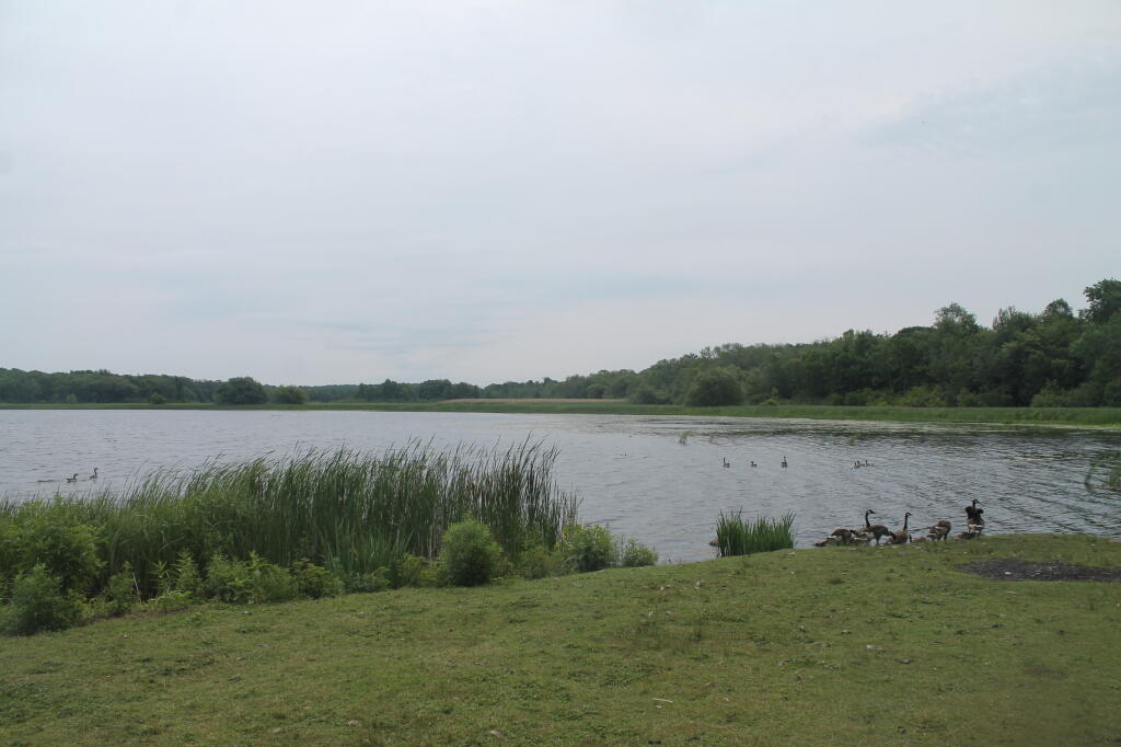 Photo: North at Colwell Pond Photo: North at Colwell Pond