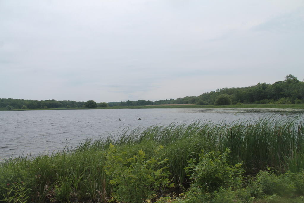 Photo: East on Lake Photo: East on Lake