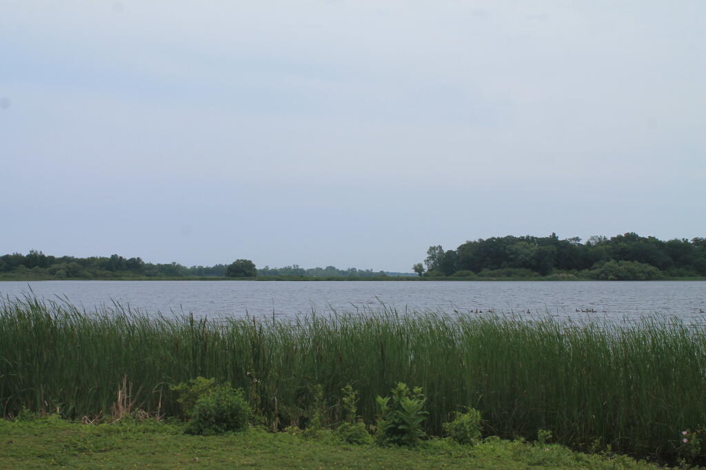 Photo: South Caldweld Pond