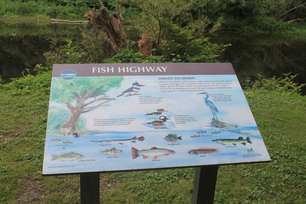 Photo: Fish Highway Sign Photo: Fish Highway Sign