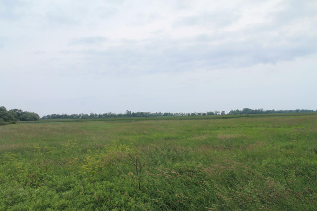 Photo: One of Largest Freshwater Marshes in NYS Photo: One of Largest Freshwater Marshes in NYS