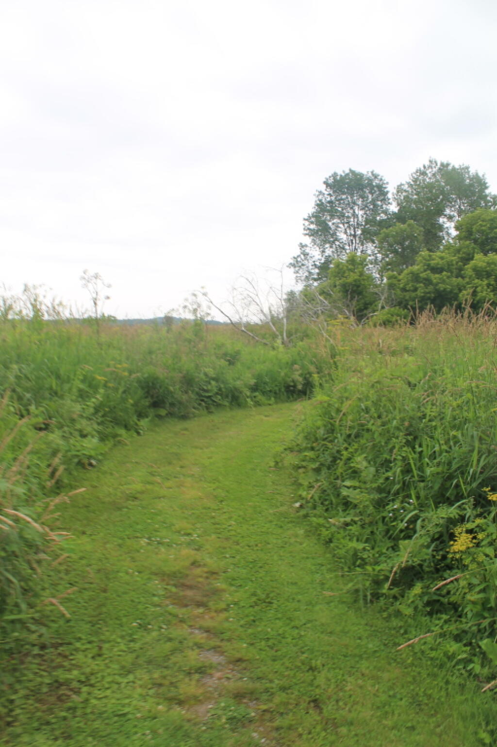 Photo: Trail Photo: Trail