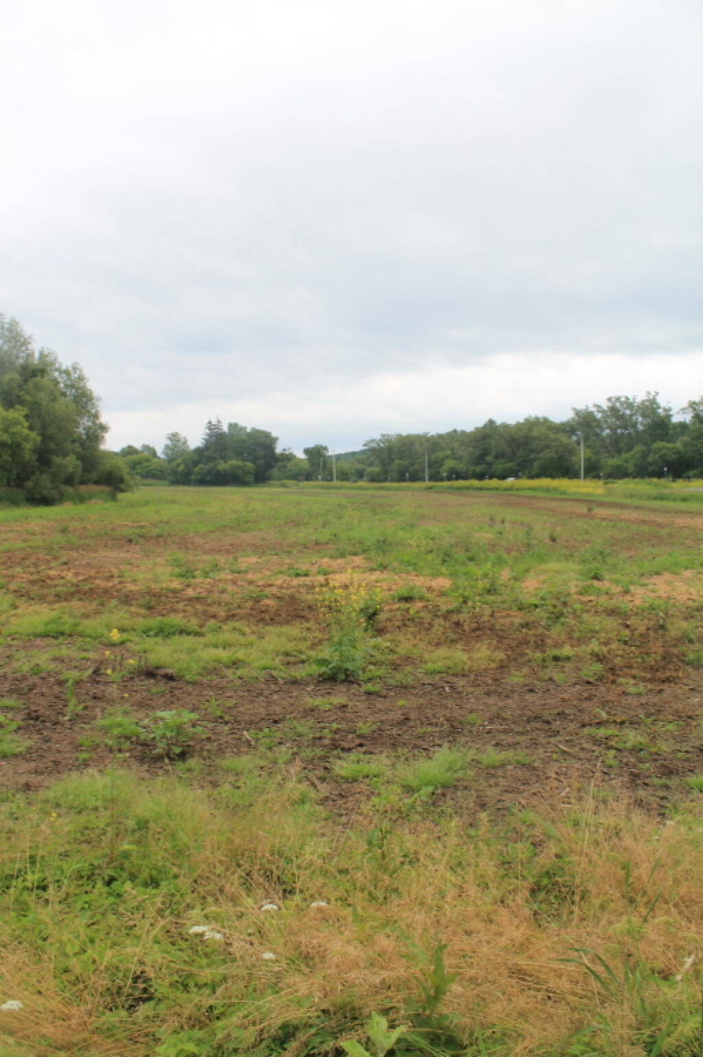 Photo: Unplanted Field Along NY 3 Photo: Unplanted Field Along NY 3