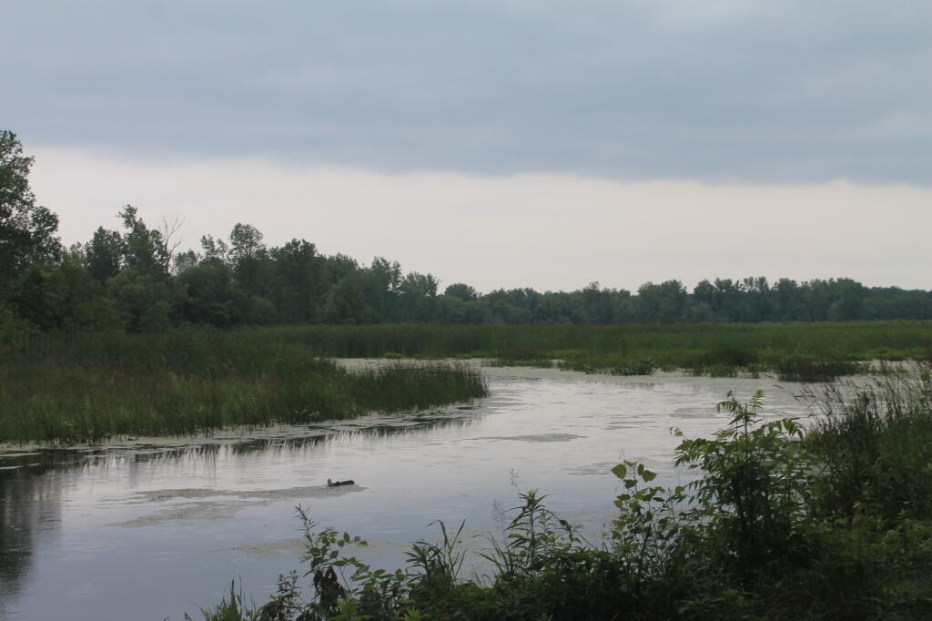 Photo: Lakeview Pond Photo: Lakeview Pond