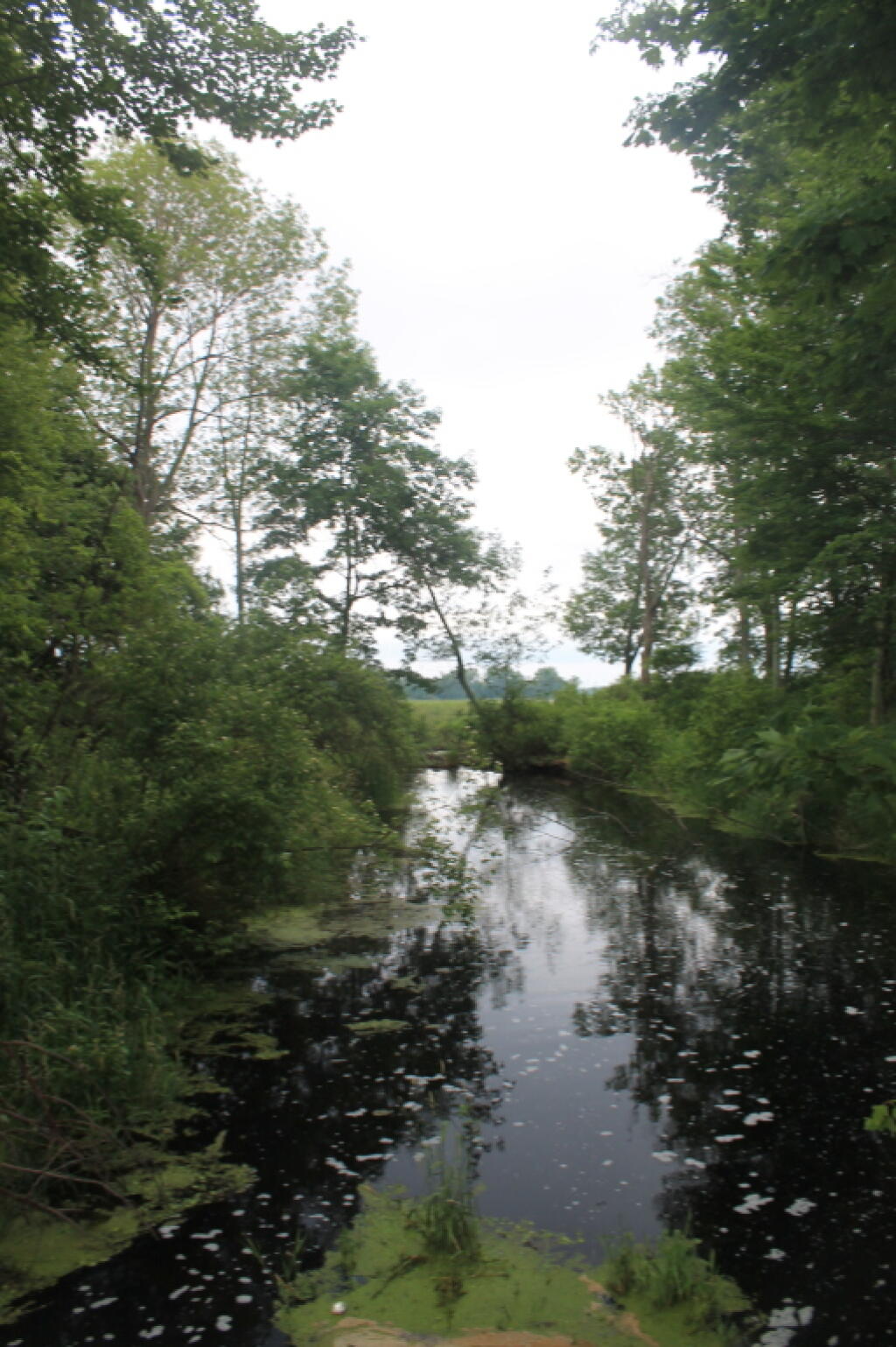 Photo: Darkwater Photo: Darkwater