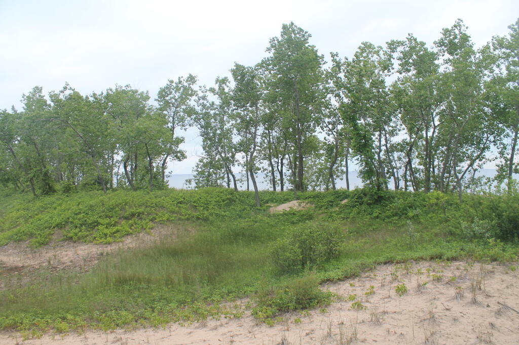 Photo: Sand Dunes Photo: Sand Dunes