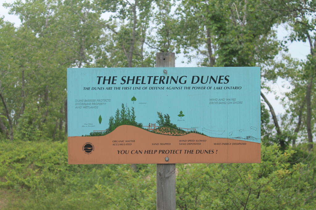 Photo: About the Dunes Photo: About the Dunes