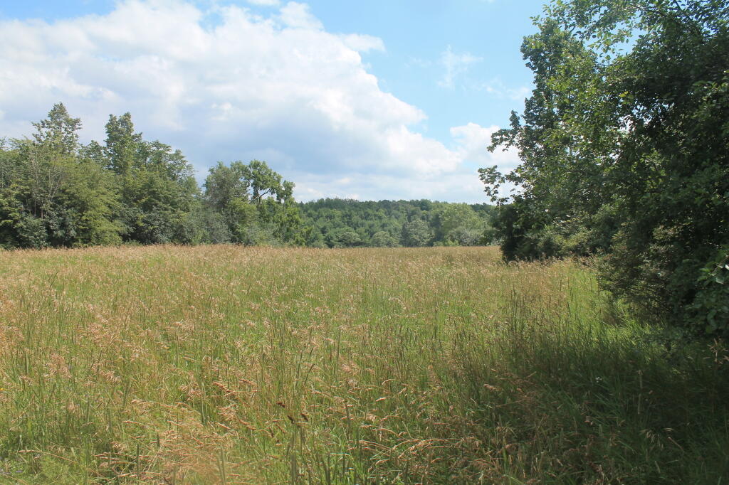 Photo: Fields in Hot Sun