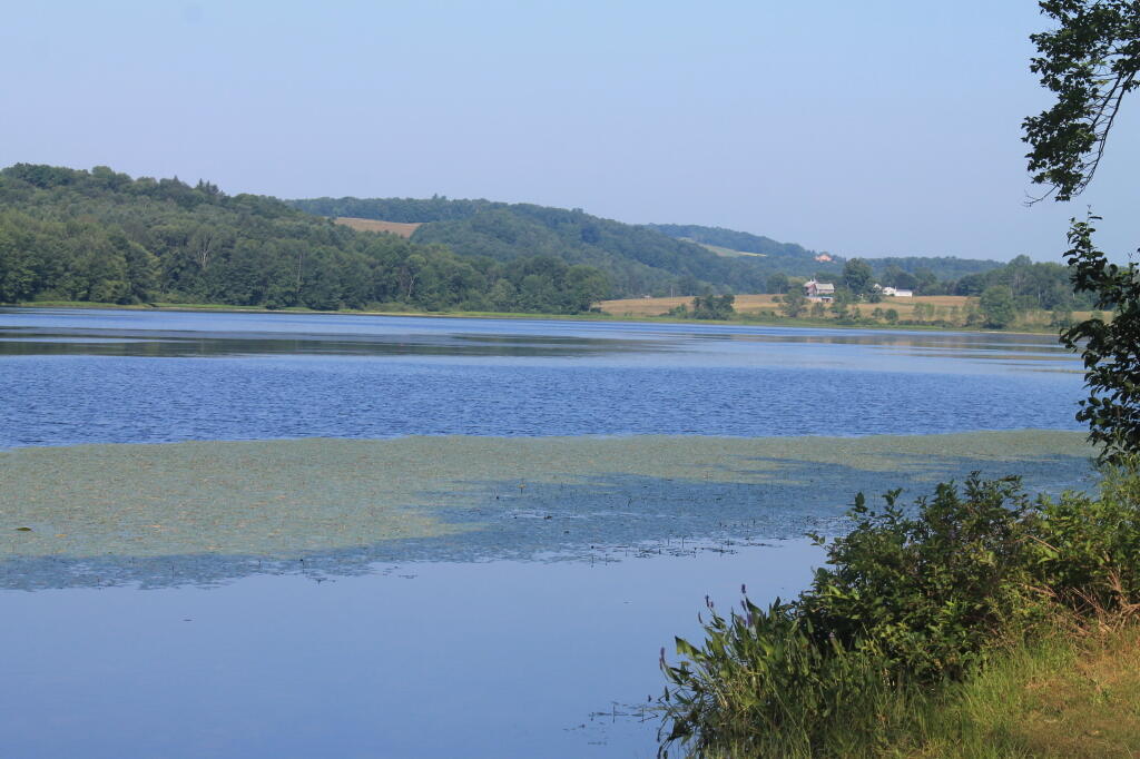 Photo: Long Pond Photo: Long Pond