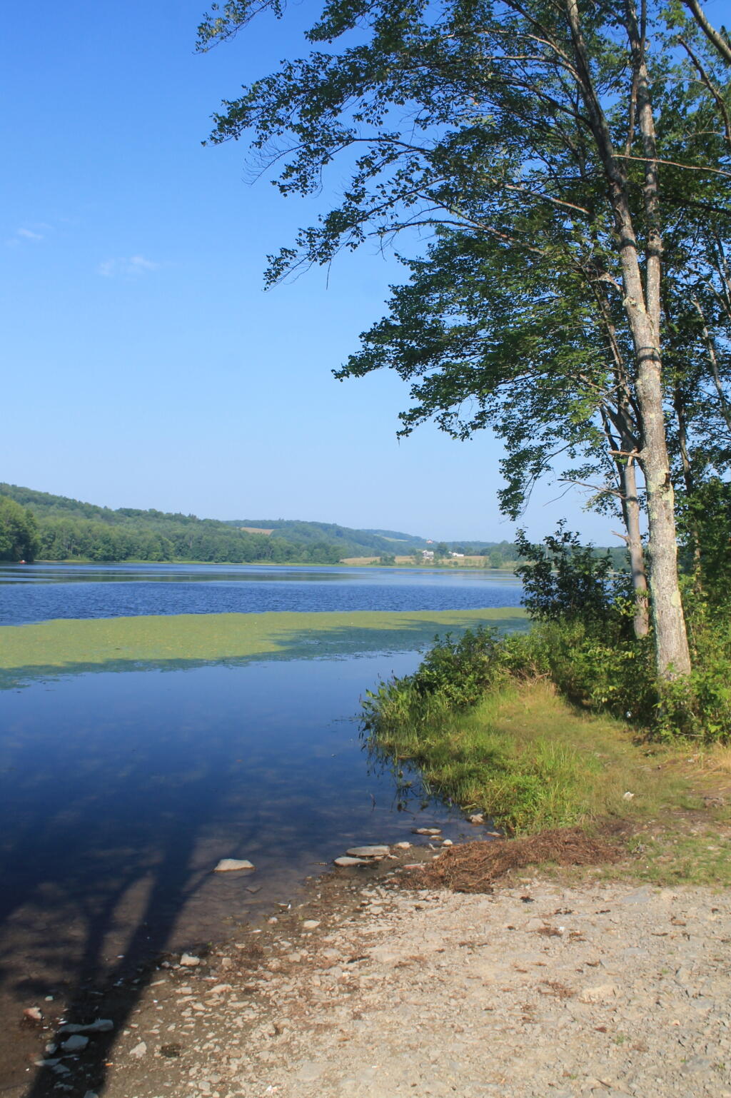 Photo: Lake Shore Photo: Lake Shore