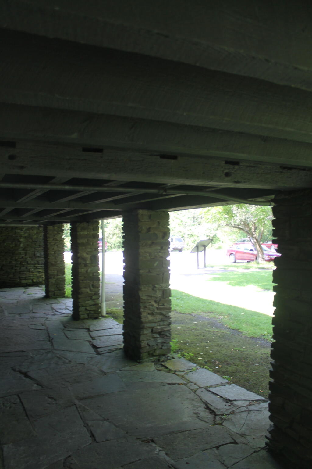 Photo: Under the Canopy Photo: Under the Canopy