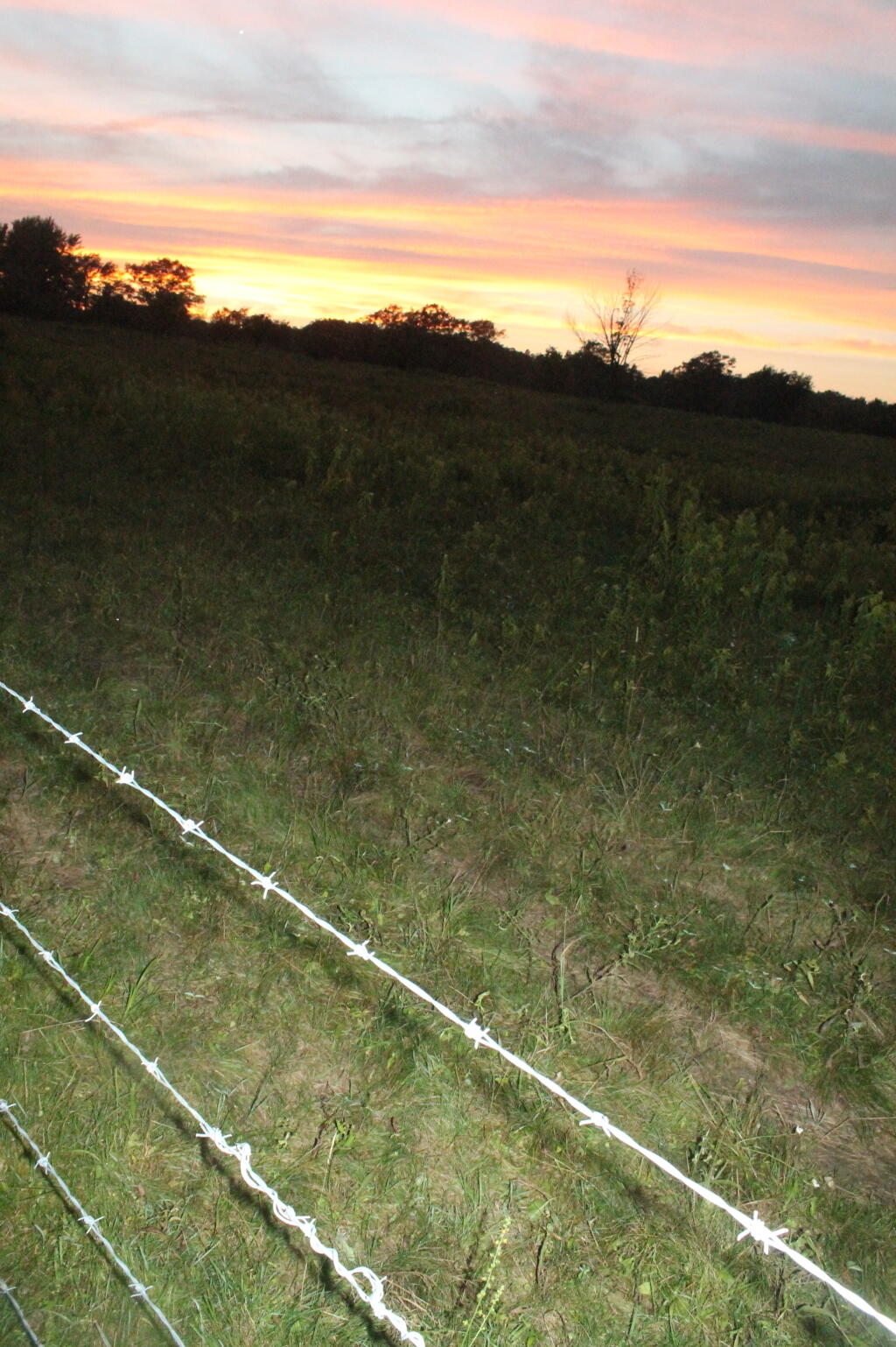Photo: Barbed Wire Photo: Barbed Wire