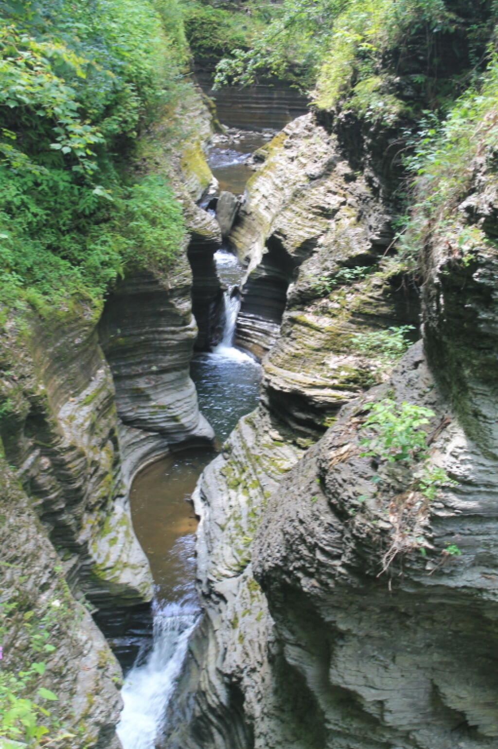 Photo: Cut Into Gorge Photo: Cut Into Gorge