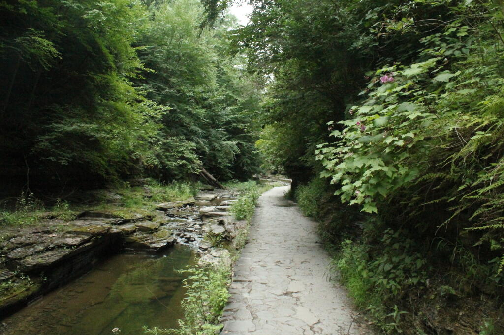 Photo: Upper Gorge Trail Photo: Upper Gorge Trail