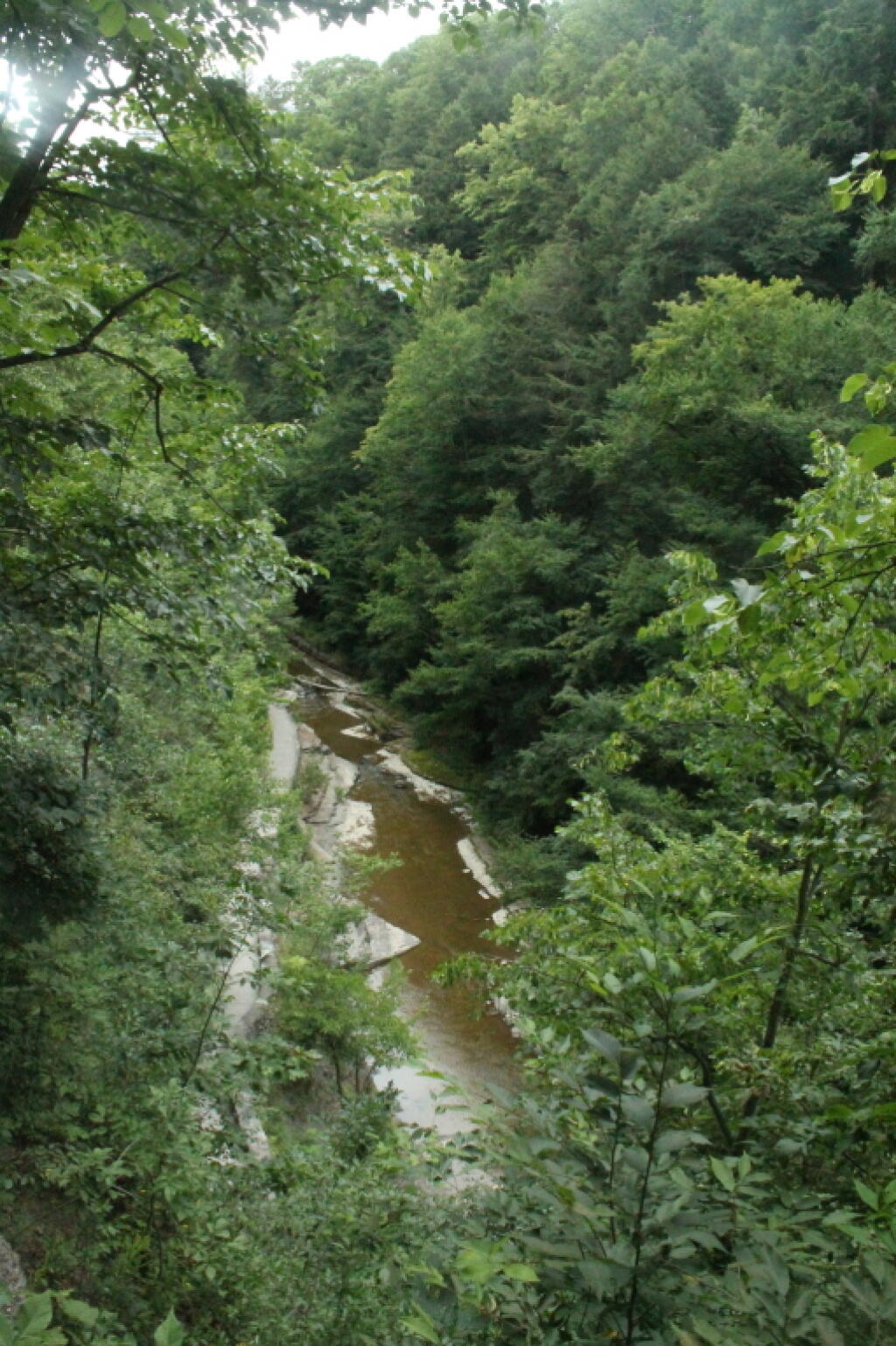 Photo: Down Into the Gorge Photo: Down Into the Gorge