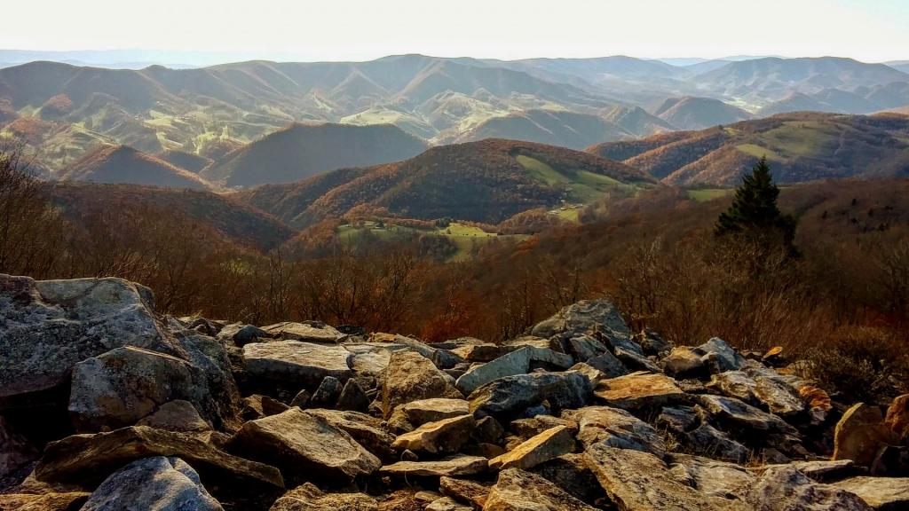 Photo: Hilltops Farms of West Virginia Photo: Hilltops Farms of West Virginia