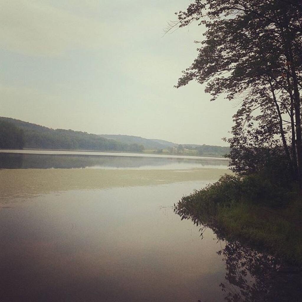 Photo: Foggy morning on the lake