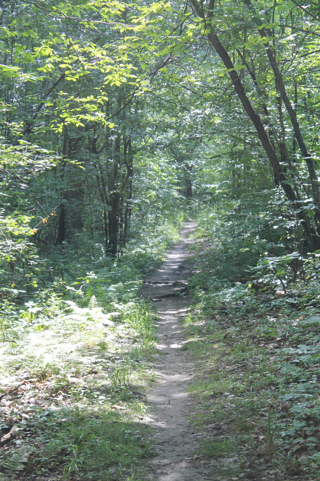 Photo: Gorge Trail Photo: Gorge Trail