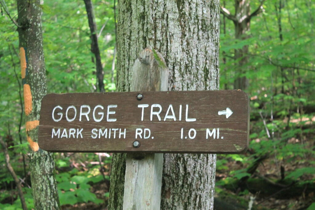 Photo: Gorge Trail to Mark Smith Road