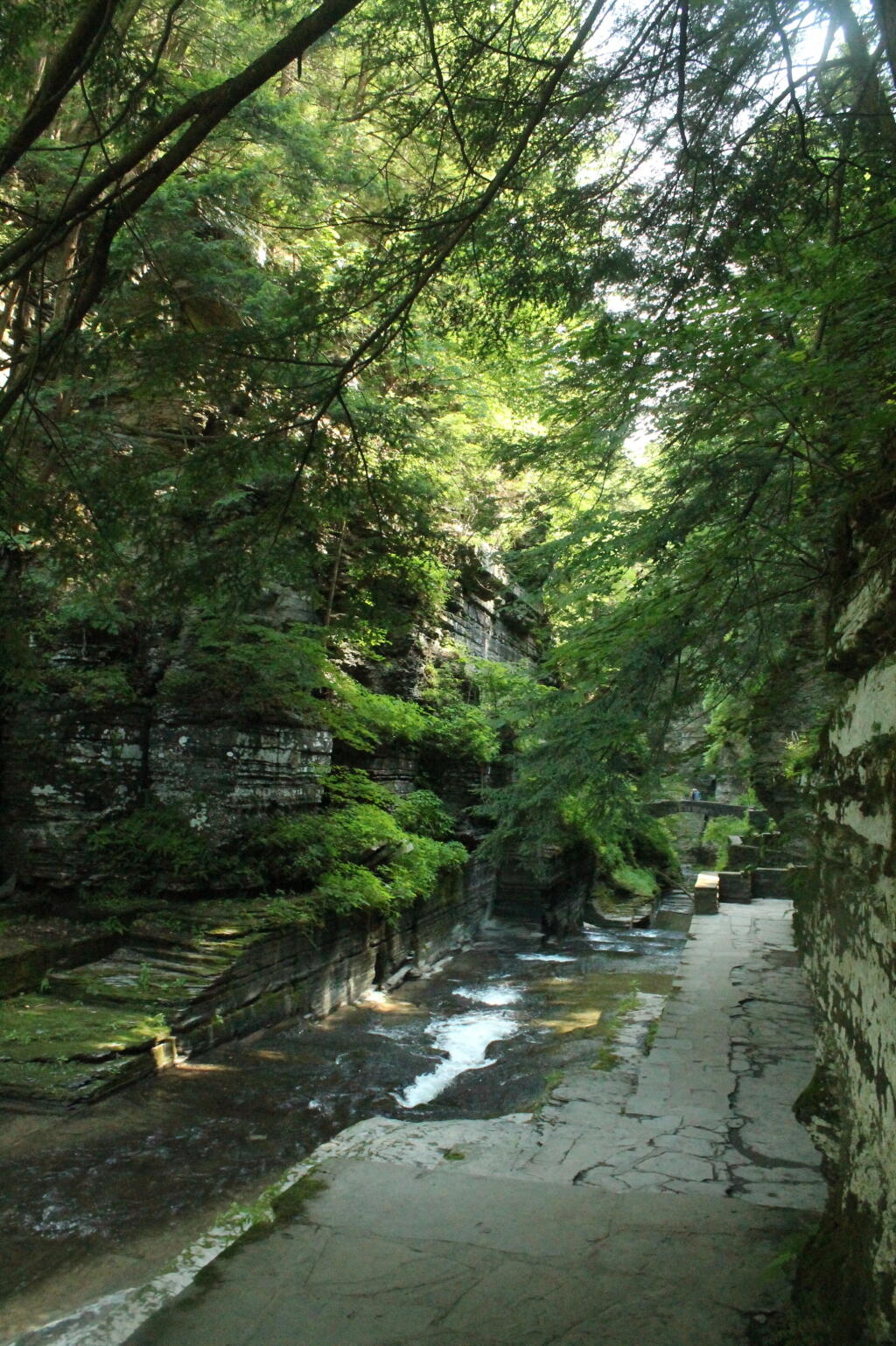 Photo: Walking Down Into Enfield Glen Photo: Walking Down Into Enfield Glen