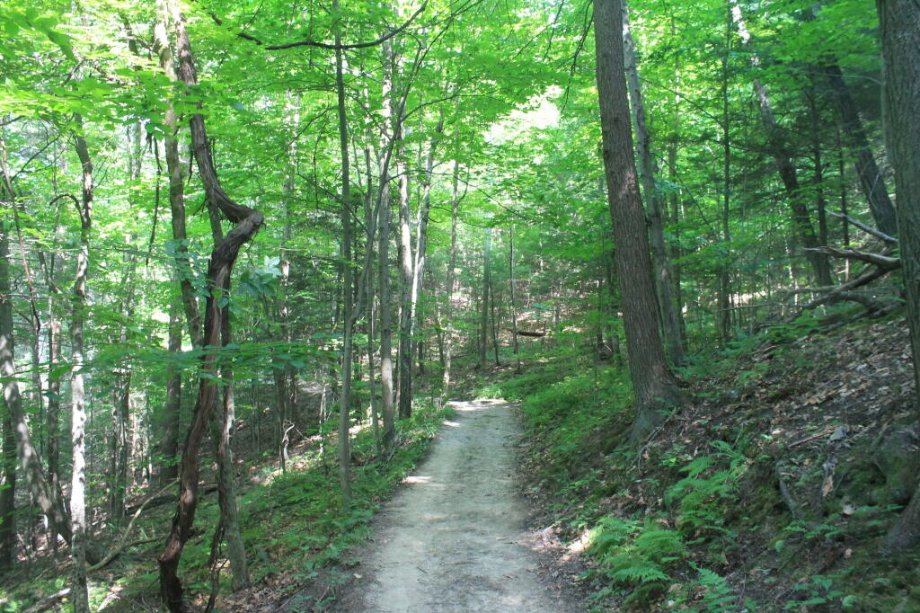 Photo: Hiking Along Rim Trail Photo: Hiking Along Rim Trail