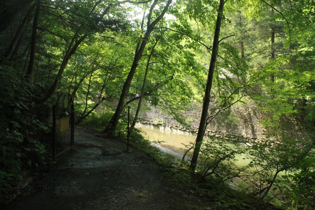 Photo: Enfield Creek Below the Pool Photo: Enfield Creek Below the Pool