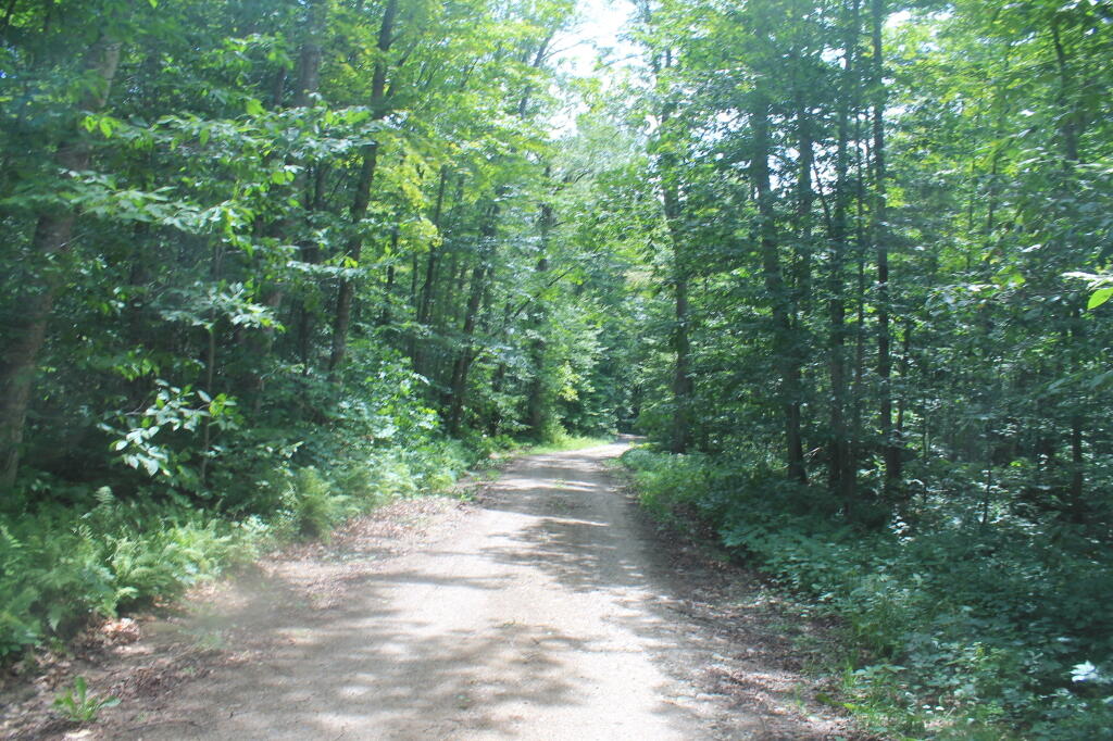 Photo: G Lake Road Near the End Photo: G Lake Road Near the End