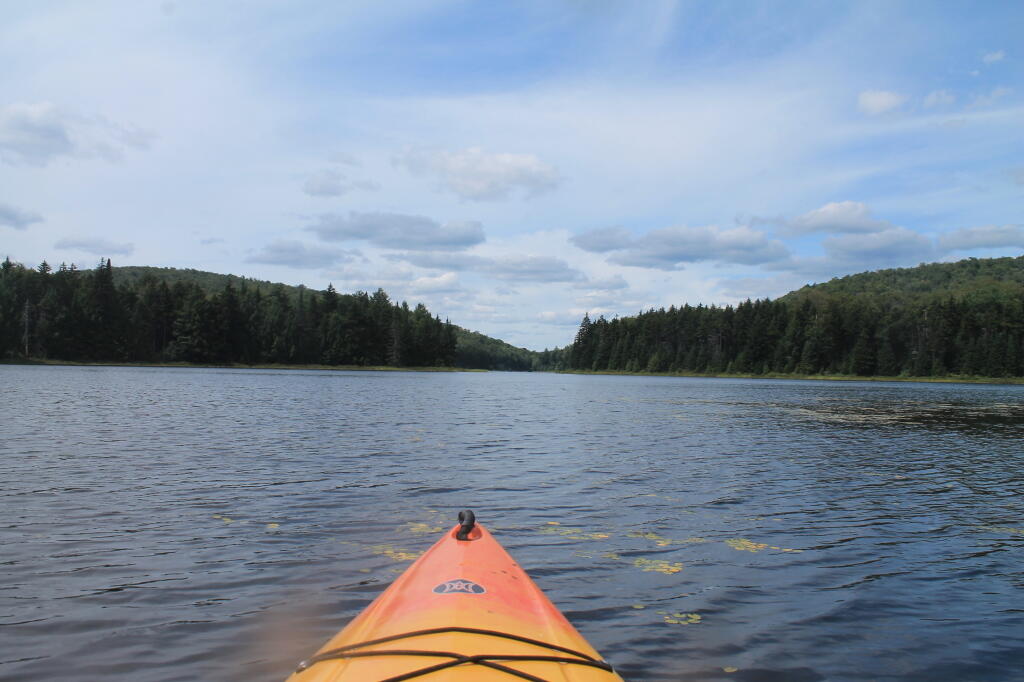 Photo: Out on G Lake Photo: Out on G Lake