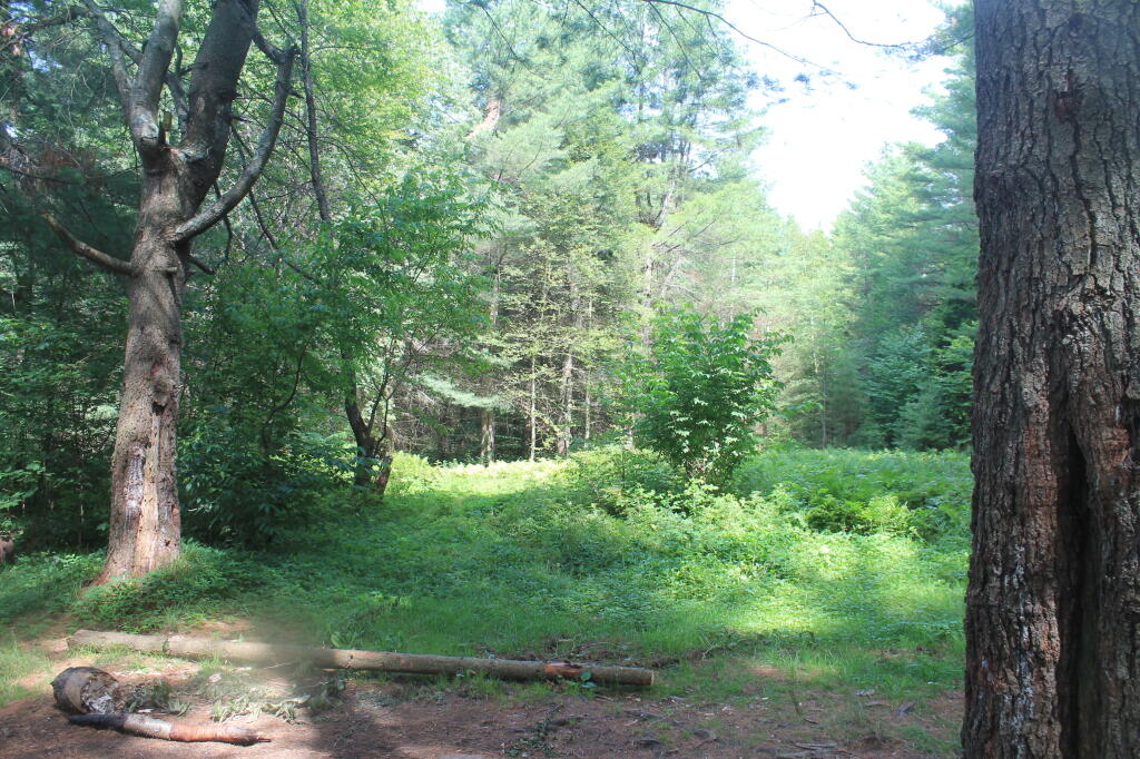 Photo: Site of Former G Lake Camp Photo: Site of Former G Lake Camp