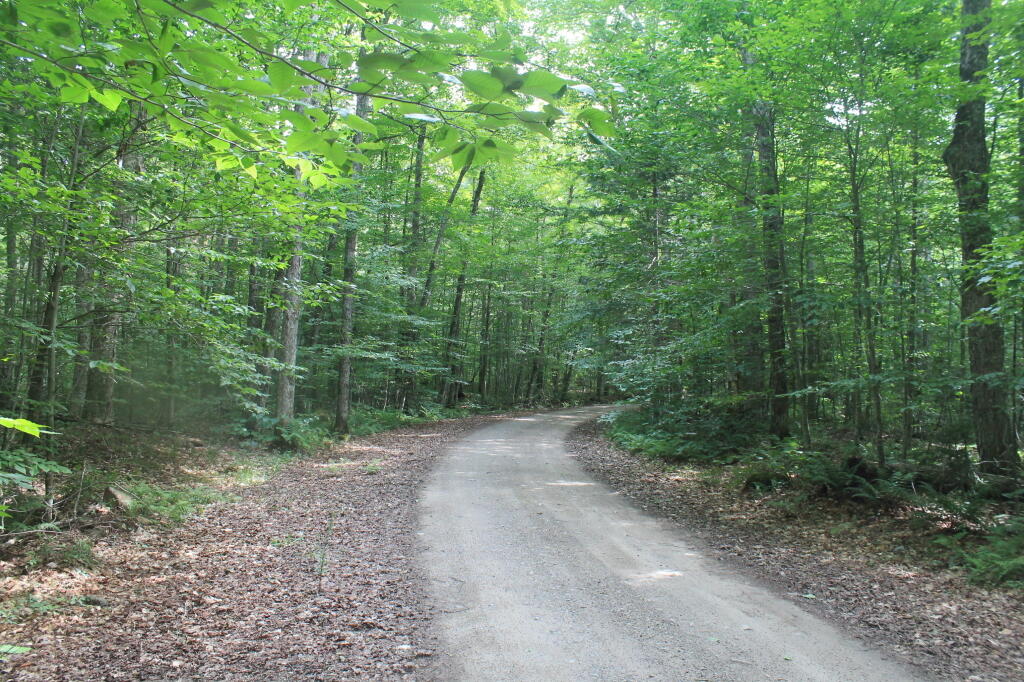 Photo: G Lake Road Photo: G Lake Road