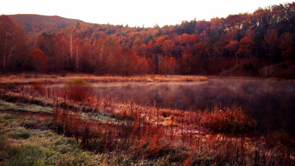 Photo: Frosty Morning at Camp Run Lake Photo: Frosty Morning at Camp Run Lake