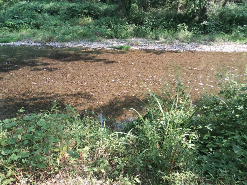 Photo: Untitled Photo: Untitled