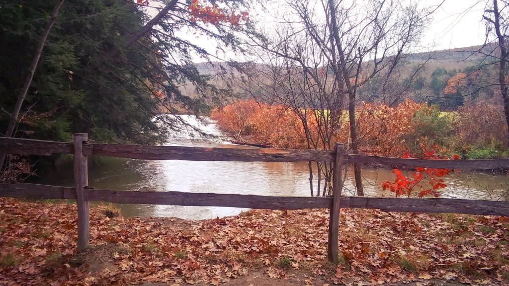 Photo: Schenevus Creek
