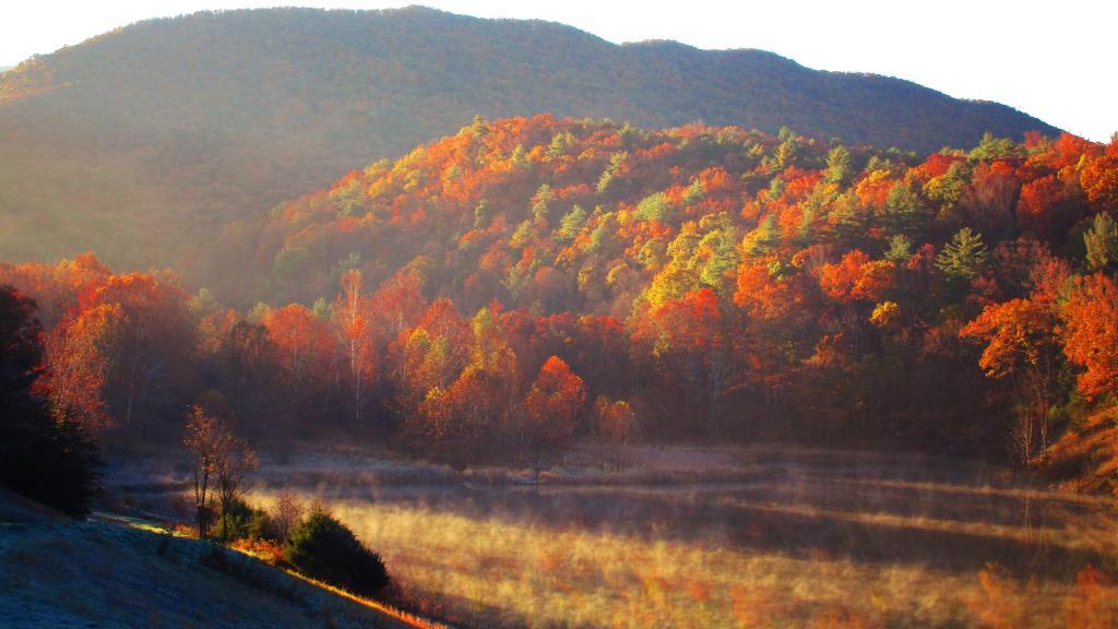 Photo: Morning at Camp Run Lake Photo: Morning at Camp Run Lake