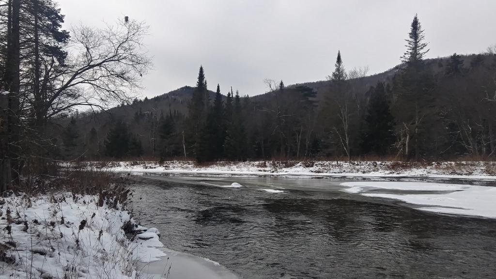 Photo: East Branch Sacandaga River Photo: East Branch Sacandaga River