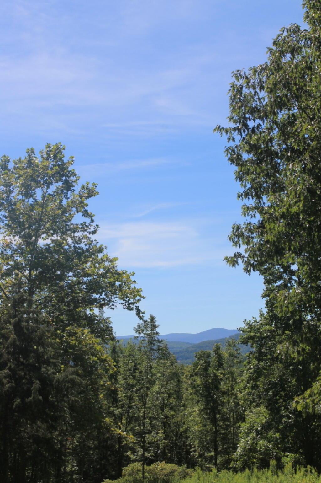 Photo: Bearpen Mountain from Mine Kill