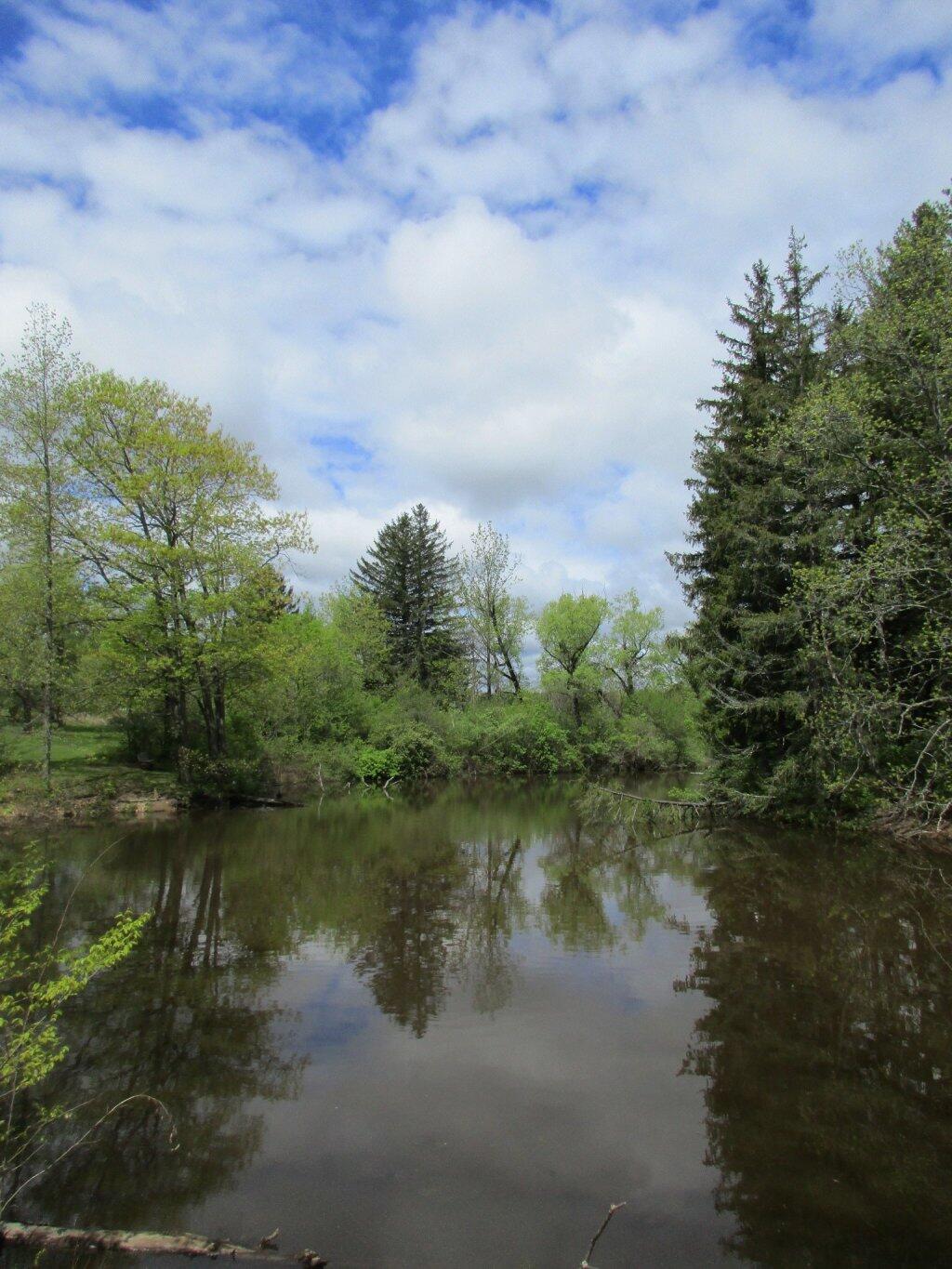 Photo: Pond Photo: Pond